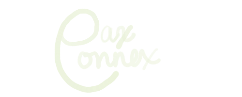 PAX CONNEX Logo